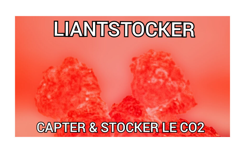 Liantstocker