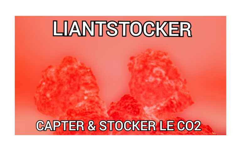 Liantstocker