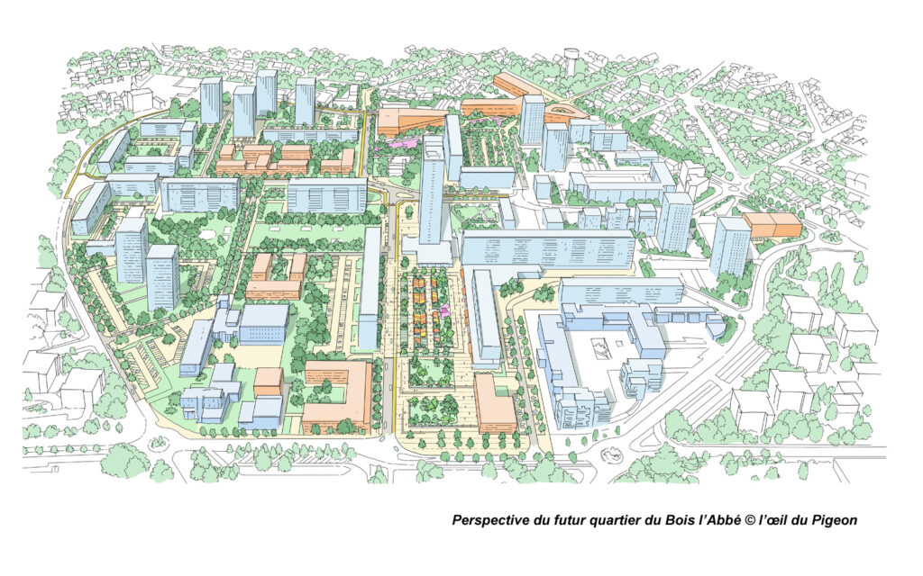 Citallios Bois l’Abbé à Champigny-sur-Marne